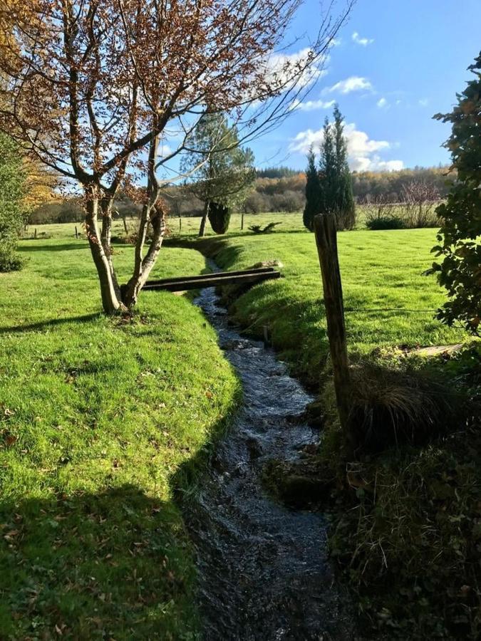 Lovely Meadow House In The Land Of Croix Scaille Gedinne Exterior foto